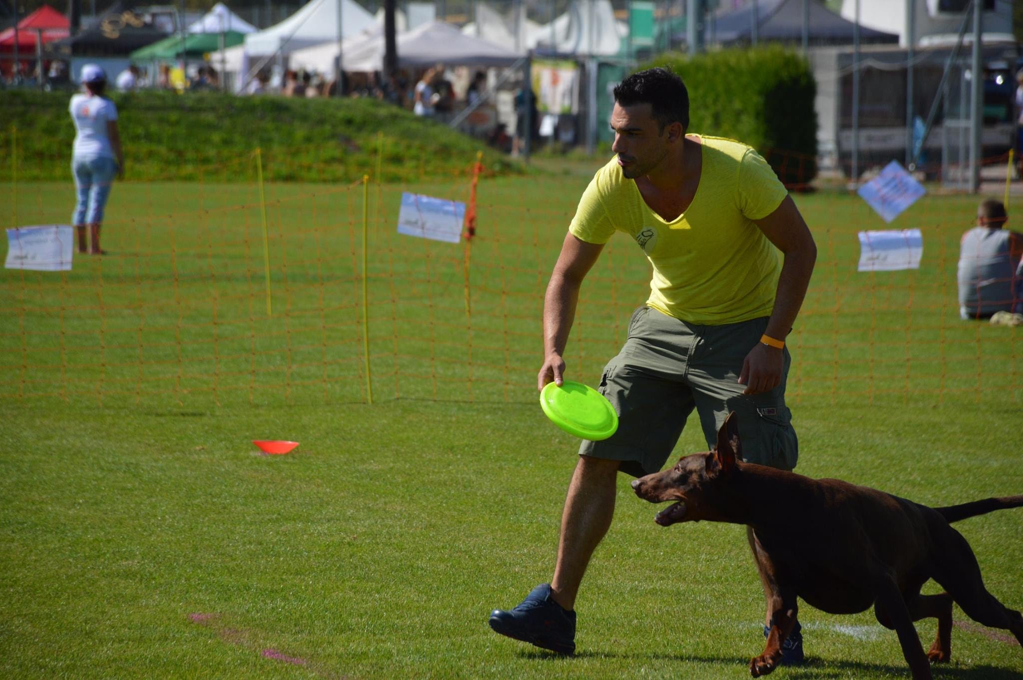 Ergebnisse und Fotos vom Dogfrisbee Fun Turnier am 1. Hundetag Korneuburg 2015